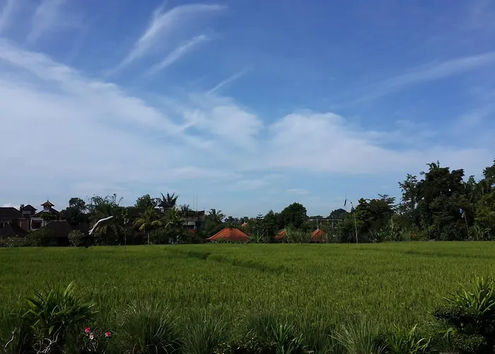 Kun - Kun Guest House Ubud